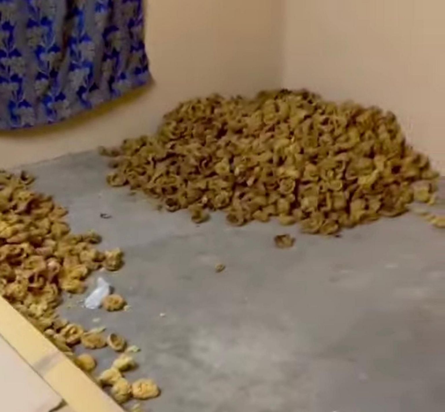 巴基斯坦联邦调查局分享的一张照片显示，房间角落堆放着大量胎盘。