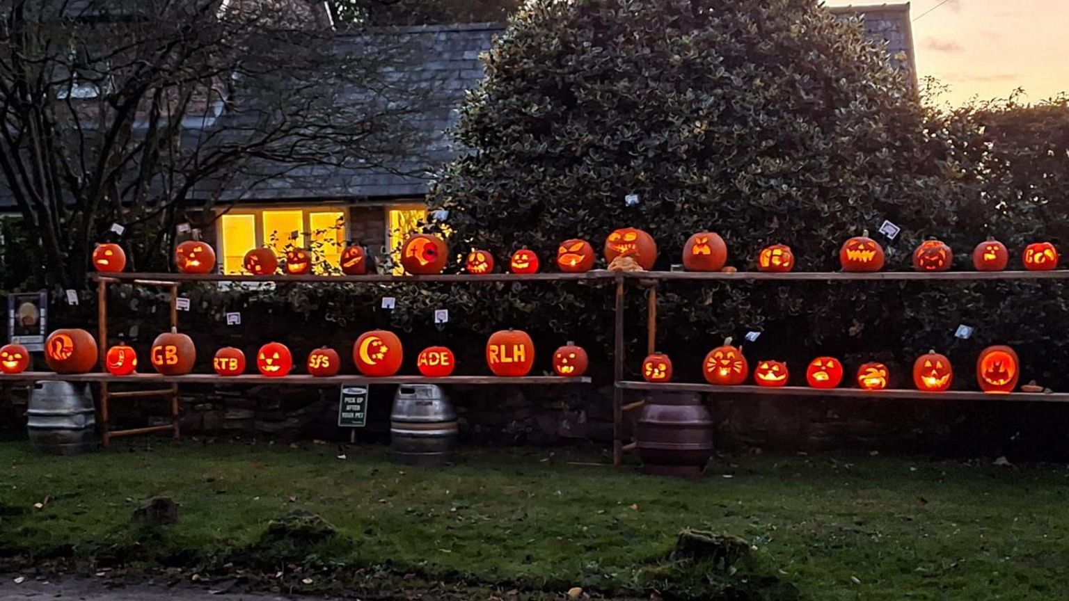 Many carved pumpkins are lit up and displayed 