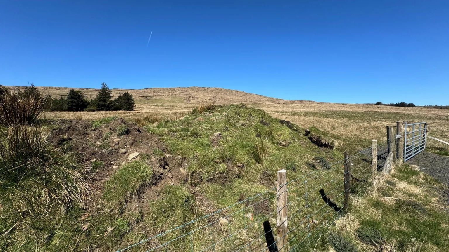 Platform — peatland in Cloonfore