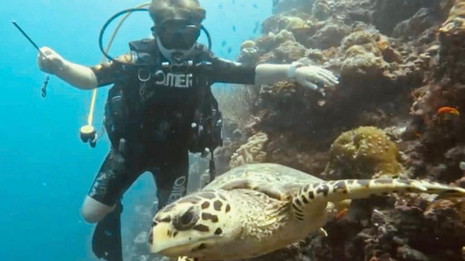 Boy in scuba diving gear swimming next to a sea turtle 