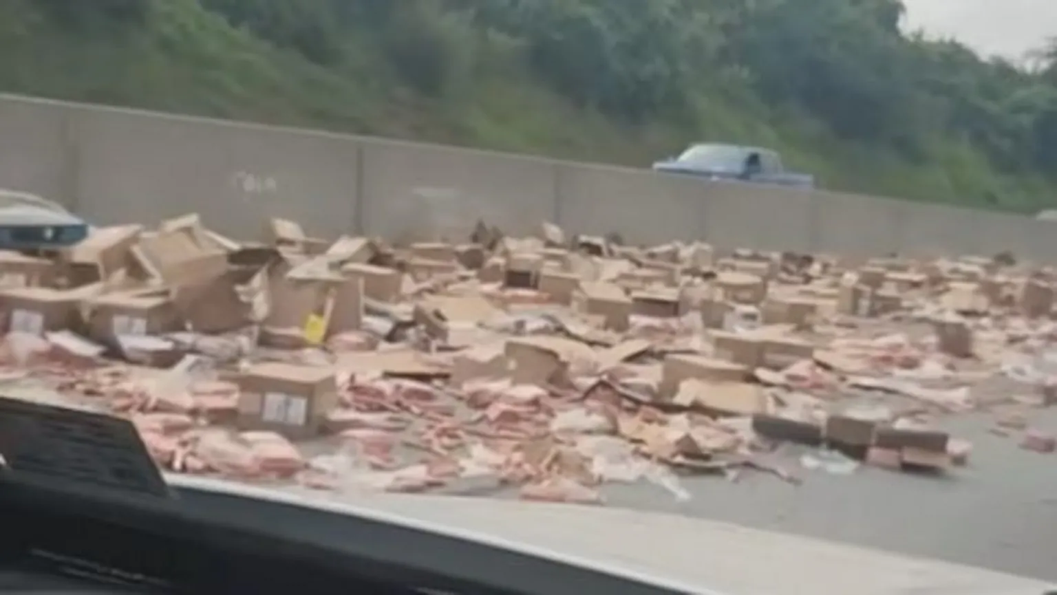 Watch: Hot dog spill clogs US highway 