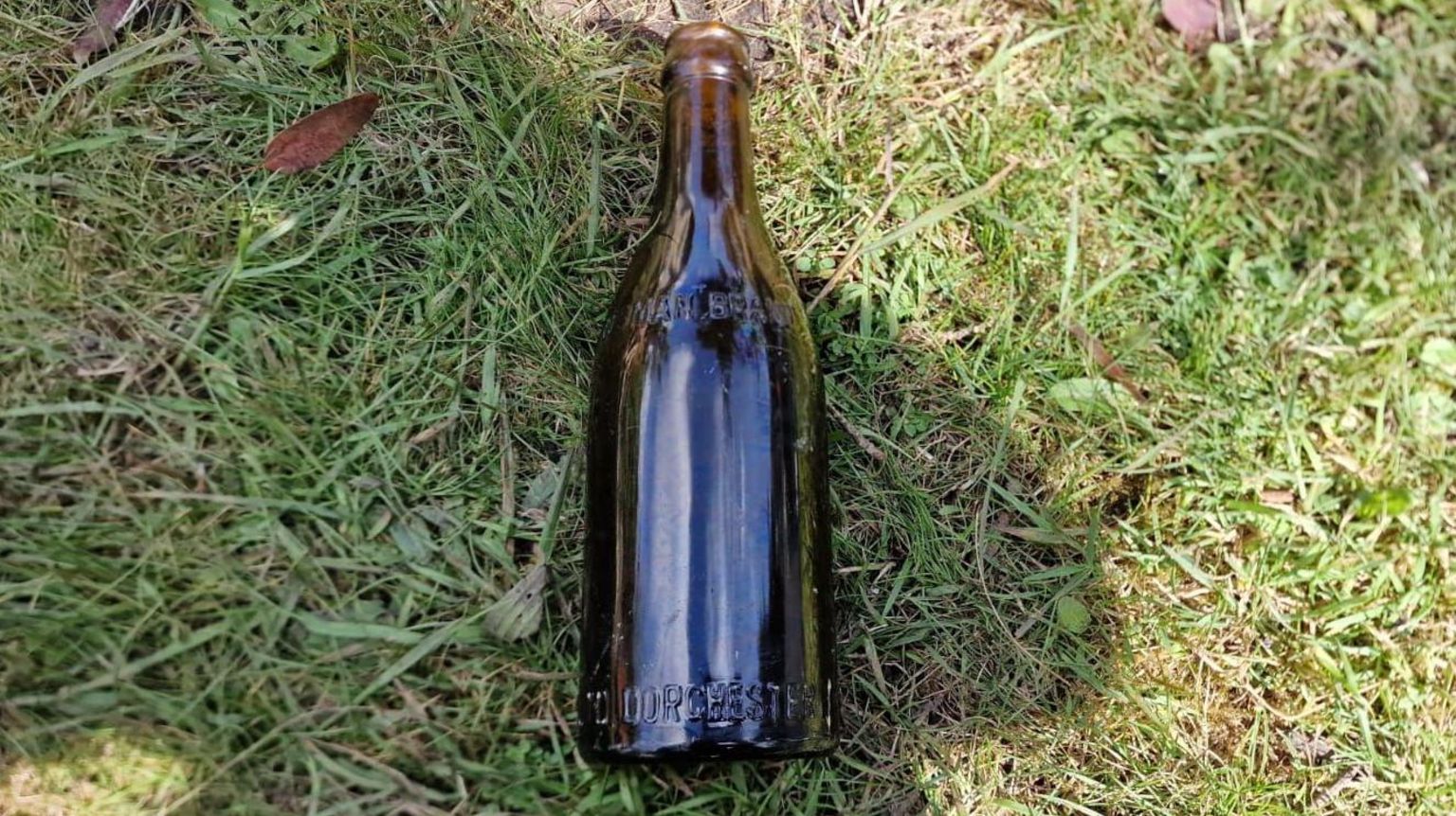 Old beer bottle with a Dorchester brewery "Eldridge Pope" engraving, pictured on a patch of green grass