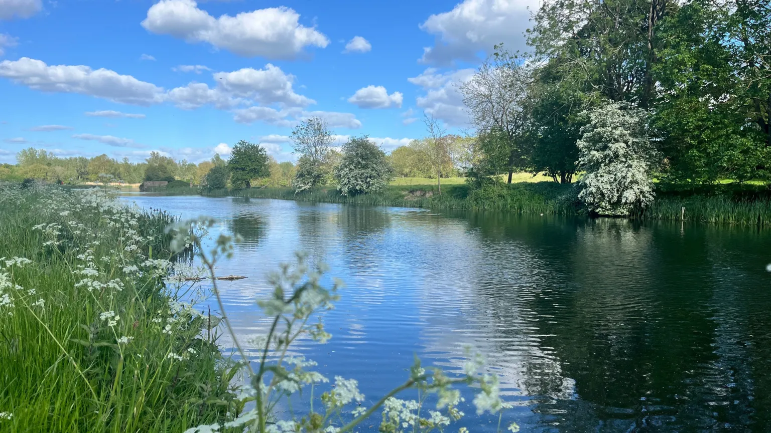 BBC/Jonah Fisher The River Stour in Suffolk surrounded by lush green foliage.