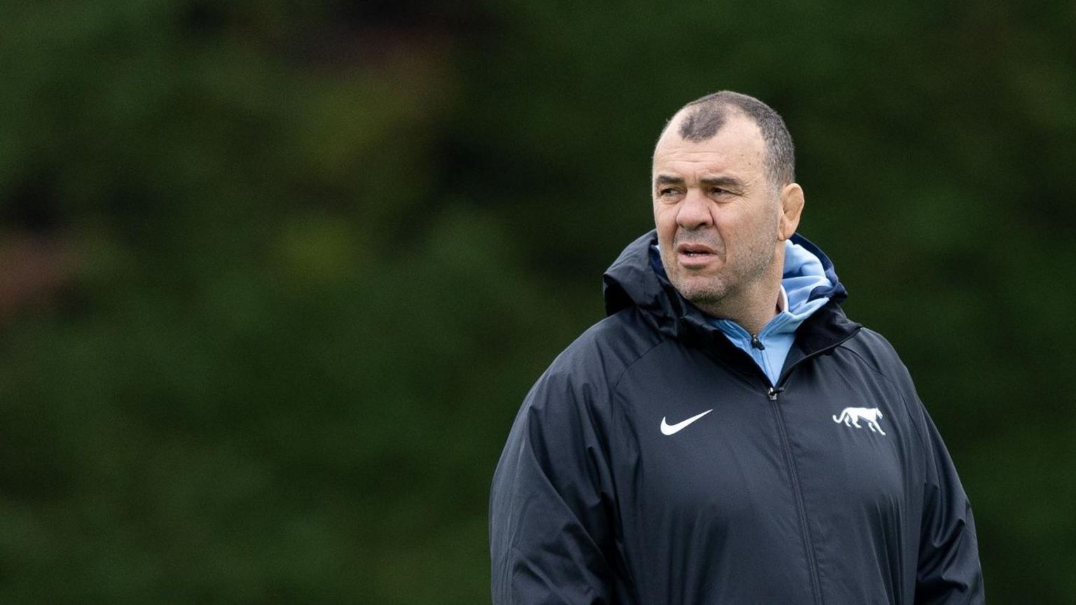 Michael Cheika working as Argentina head coach