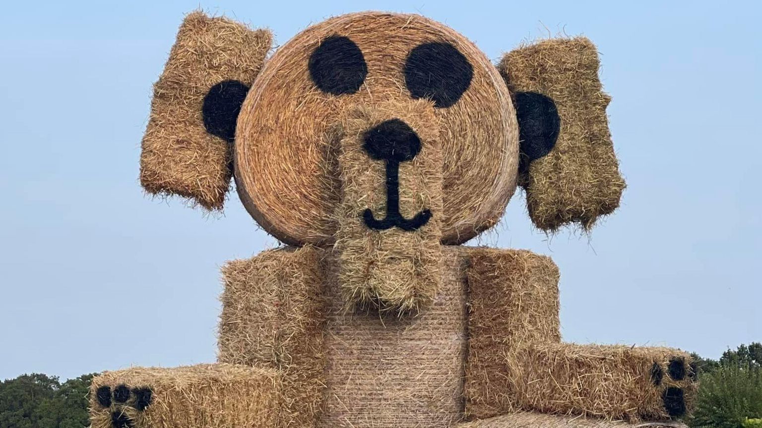 A giant teddy made out of hay bales 