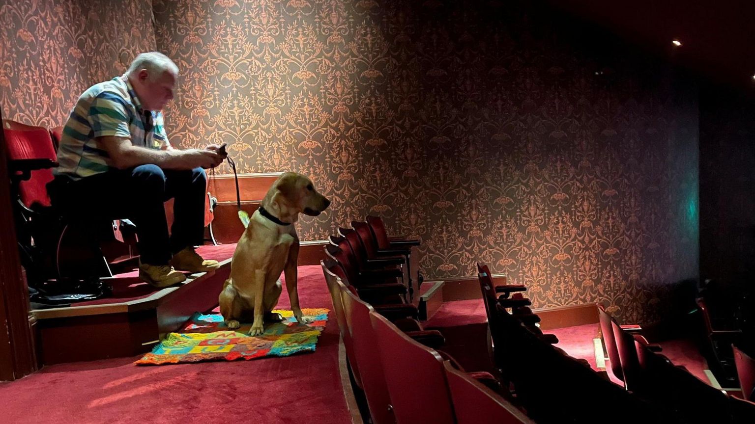 Man and guide dog in cinema