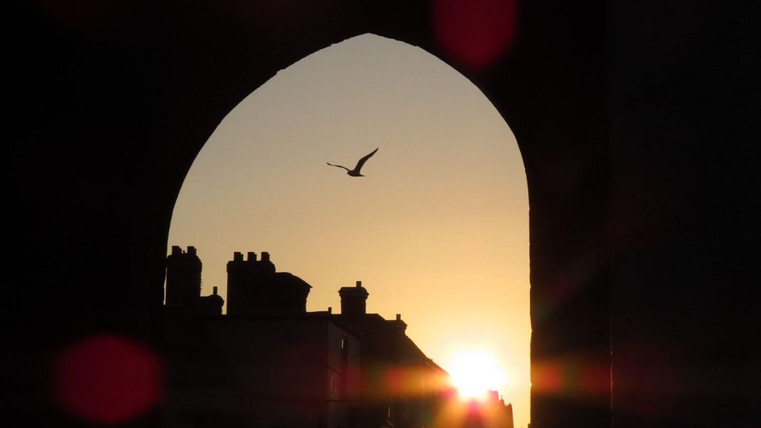 A seagull in an archway with the sun coming through in the background 