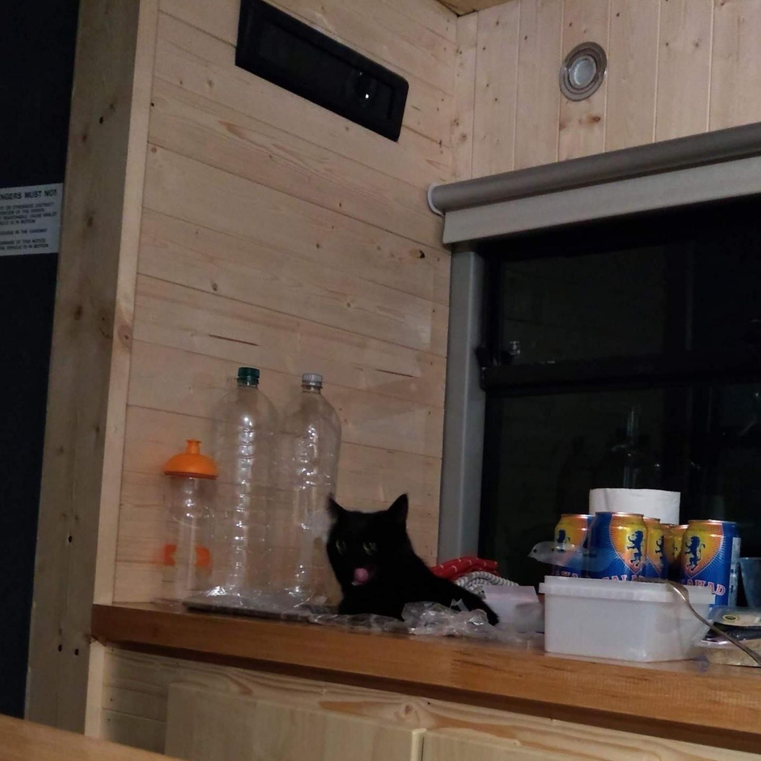 A cat sits on a kitchen panel in a converted bus.