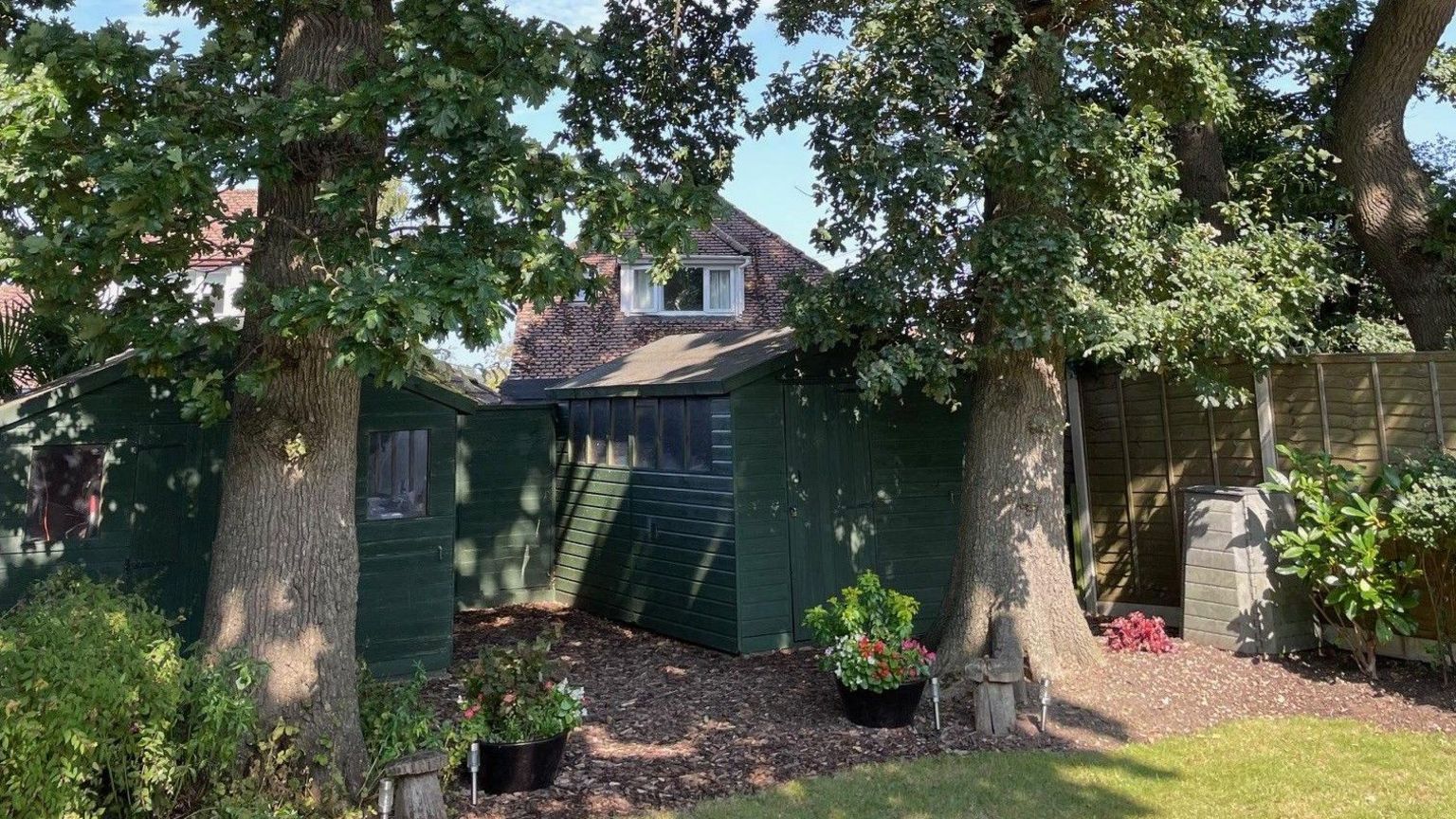 Two oak trees stand next to sheds at the back of a garden. In the background is the top floor of the apparently affected house.