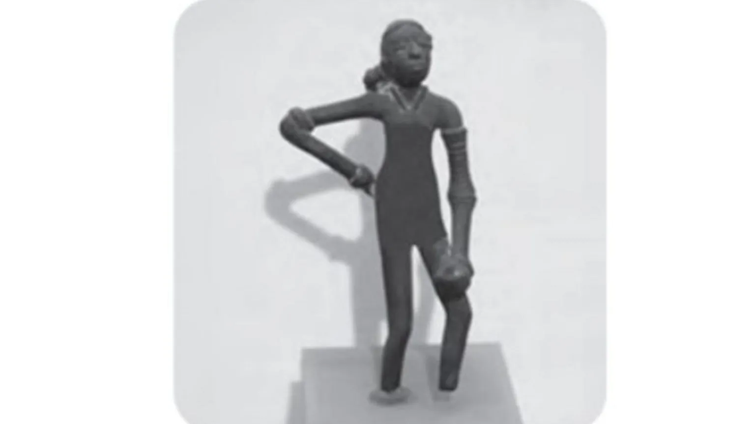 ANI The new NCERT textbook for Grade 9 features the figurine with its torso covered in dark shading