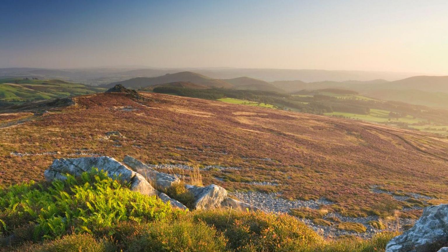 The Stiperstones National Nature Reserve on the border of England and Wales