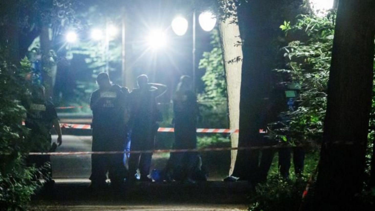 德国警方在深夜公园调查