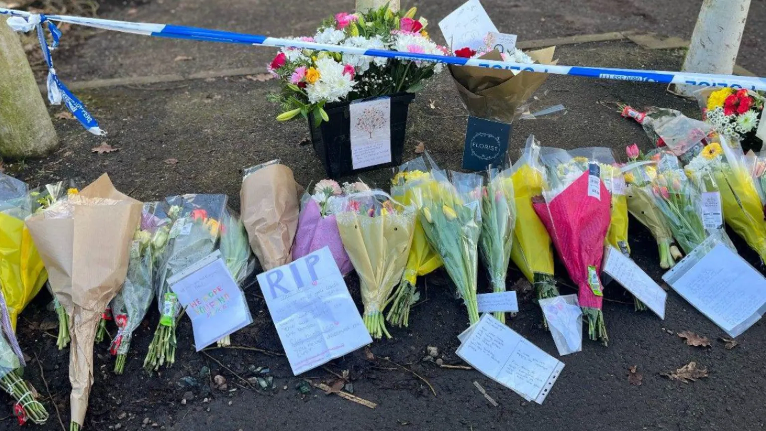 Adolescente admite haber asesinado a un colegial de 12 años mientras caminaba a casa