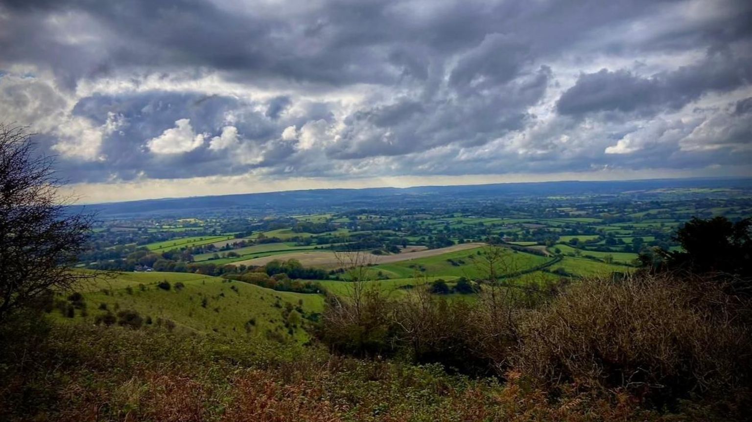 A sweeping view of green fields with trees interspersed among them as far as the eye can see under a grey, foreboding sky