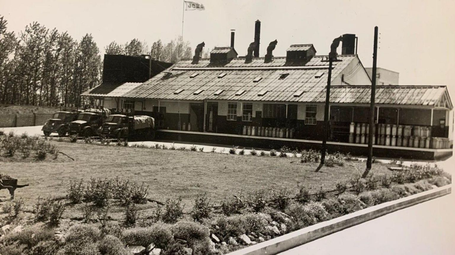 An archive image of Job's Dairy in Didcot in1948. There are three vehicles parked in front of the building. The flag with the employer's name can be seen on the roof.