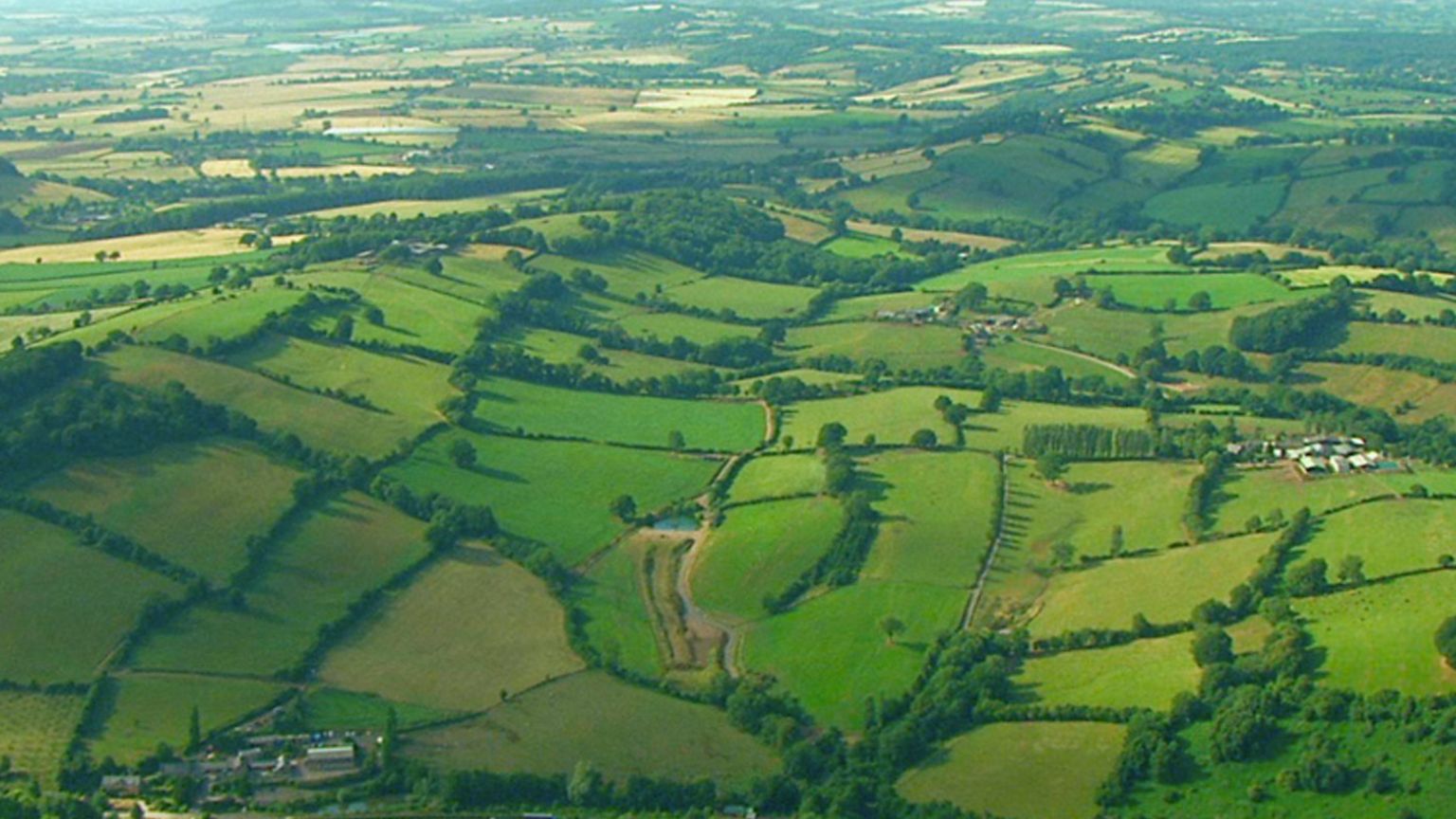 Aerial view of green countryside