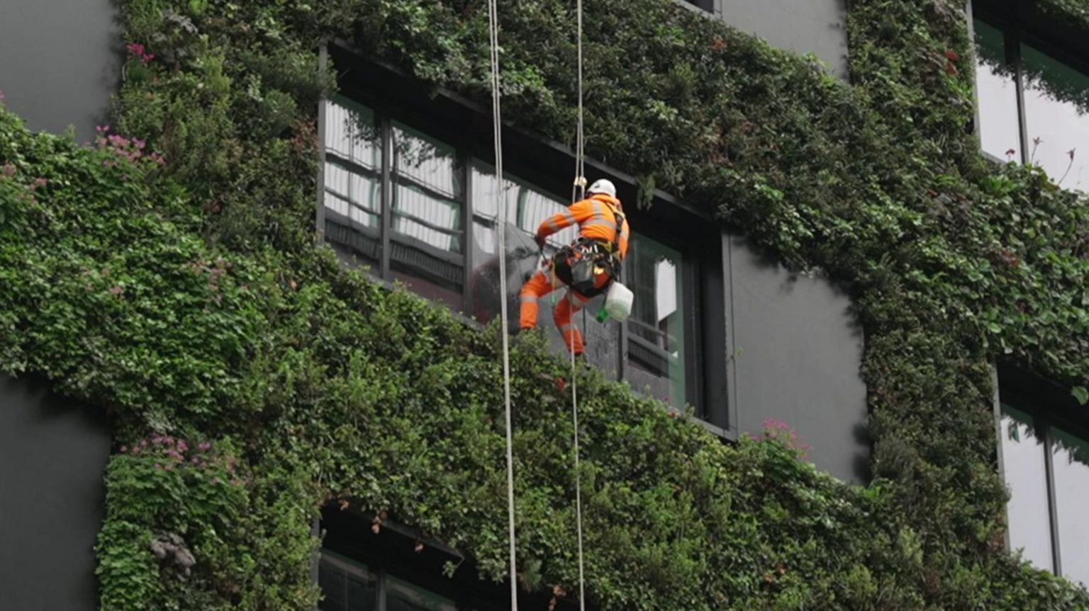 Construction worker on the building of Eden
