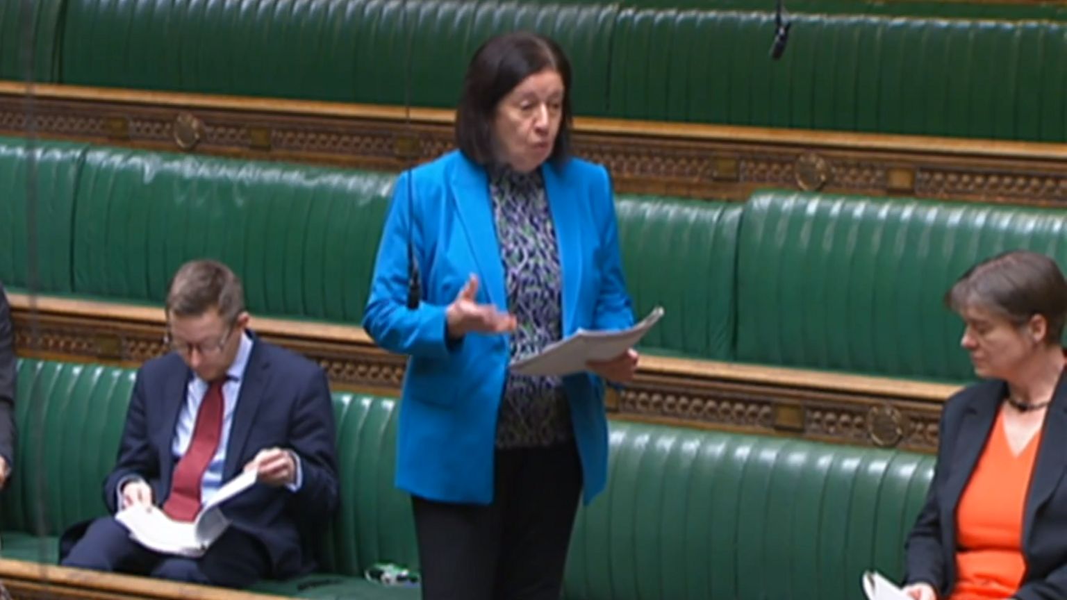 Jo Gideon MP in the House of Commons