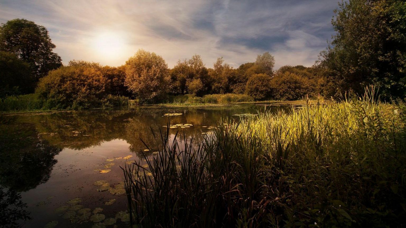 A wide shot of a lake at Tisbury in Wiltshire showing the sun, water, reeds and trees