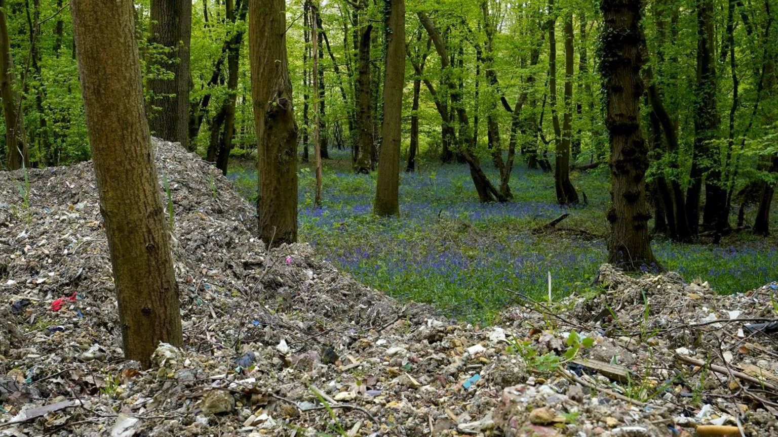 Trees buried in a pile of rubbish in the foreground with bluebells visible on the woodland floor in the background