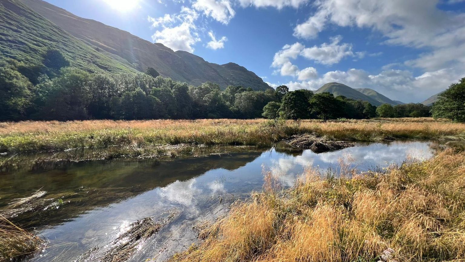 A picture of Goldrill Beck. Reeds lie on the right-hand side of the riverbank; in the background, there is a woodland and mountains.