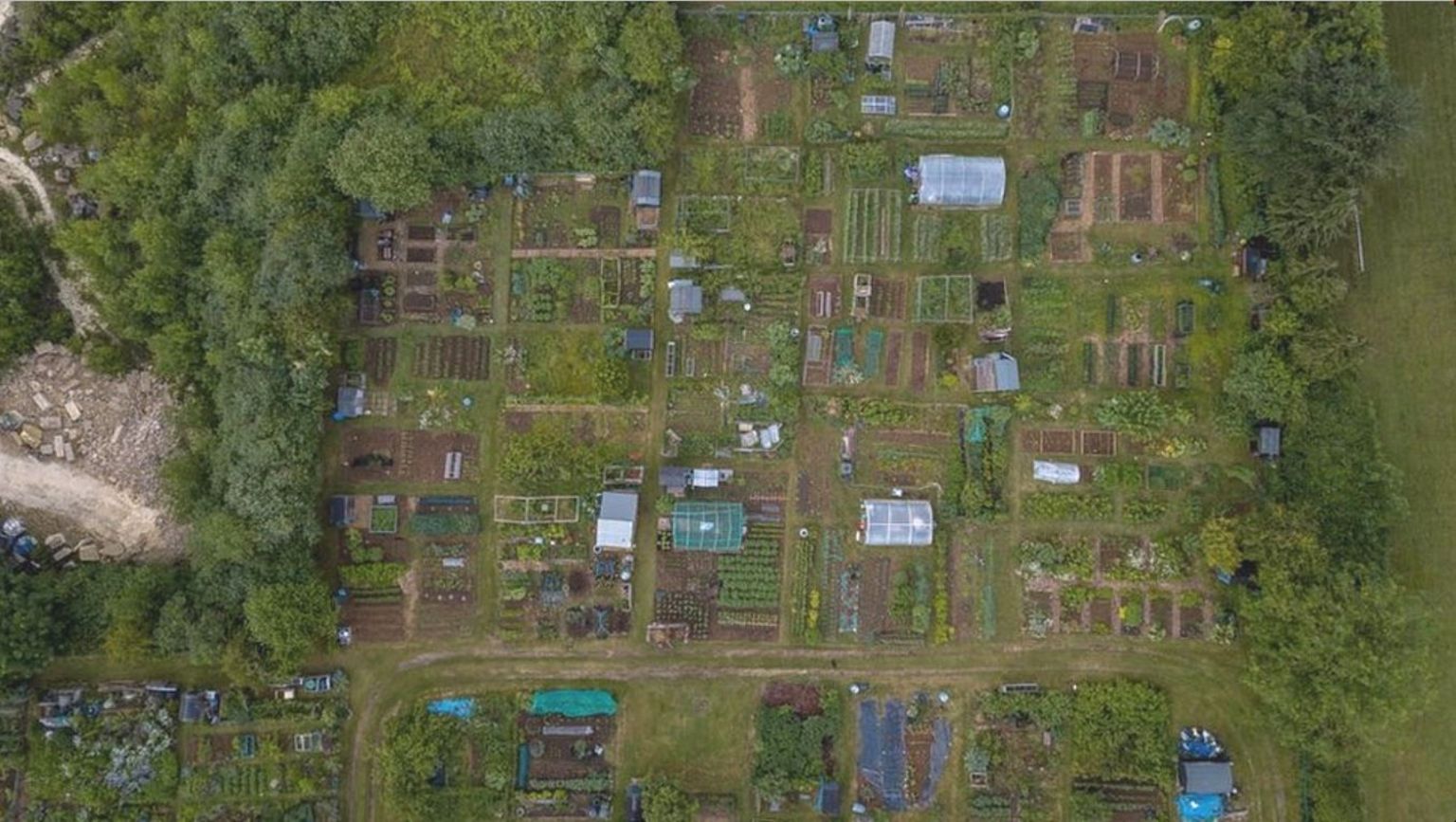 An aerial image of the 64 plots at the allotment site