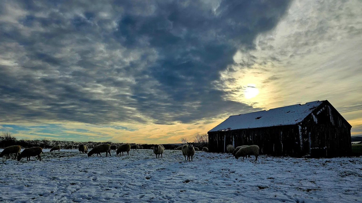 Tus fotografías nevadas a lo largo de los años