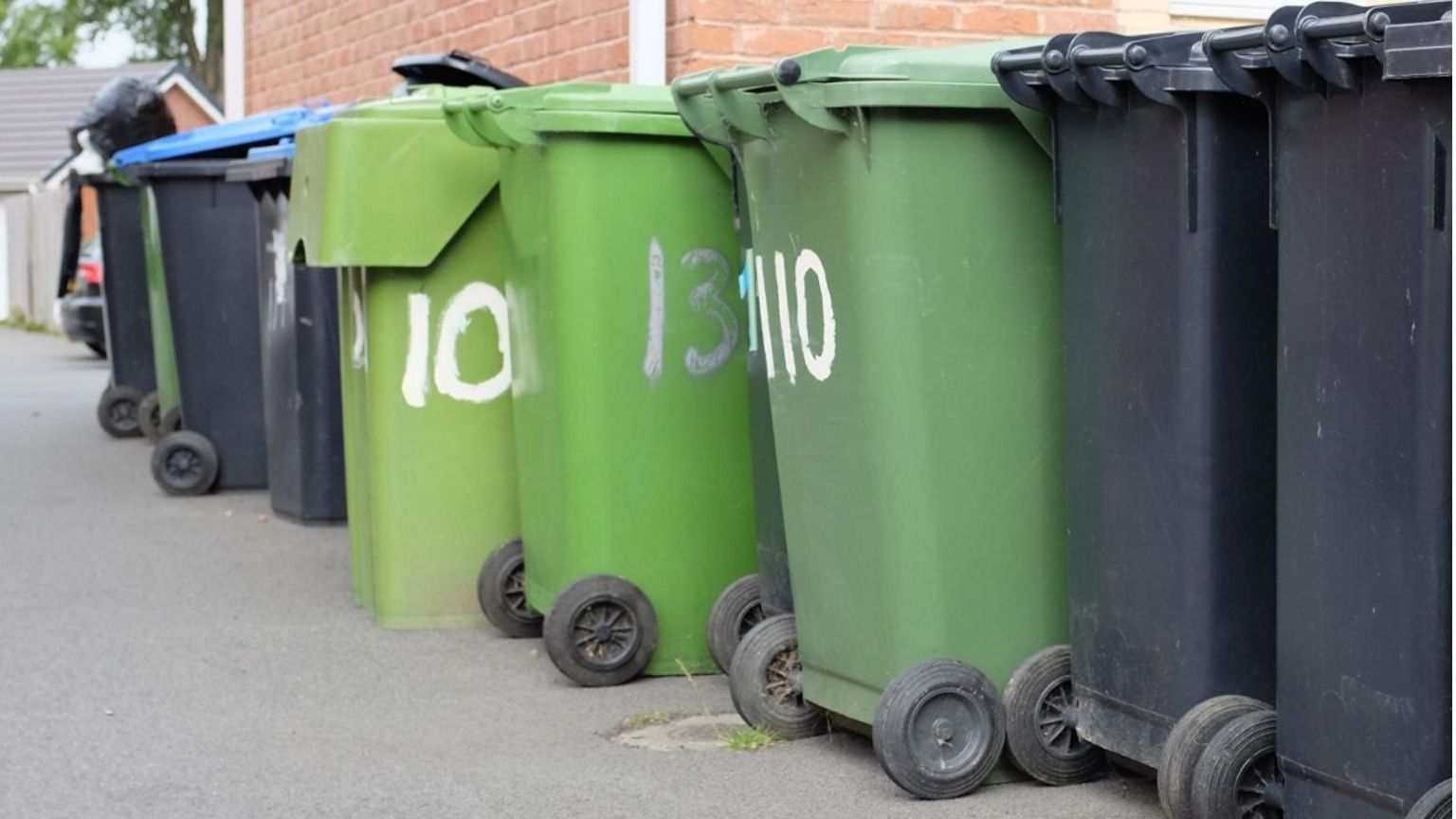 Black and green waste bins.