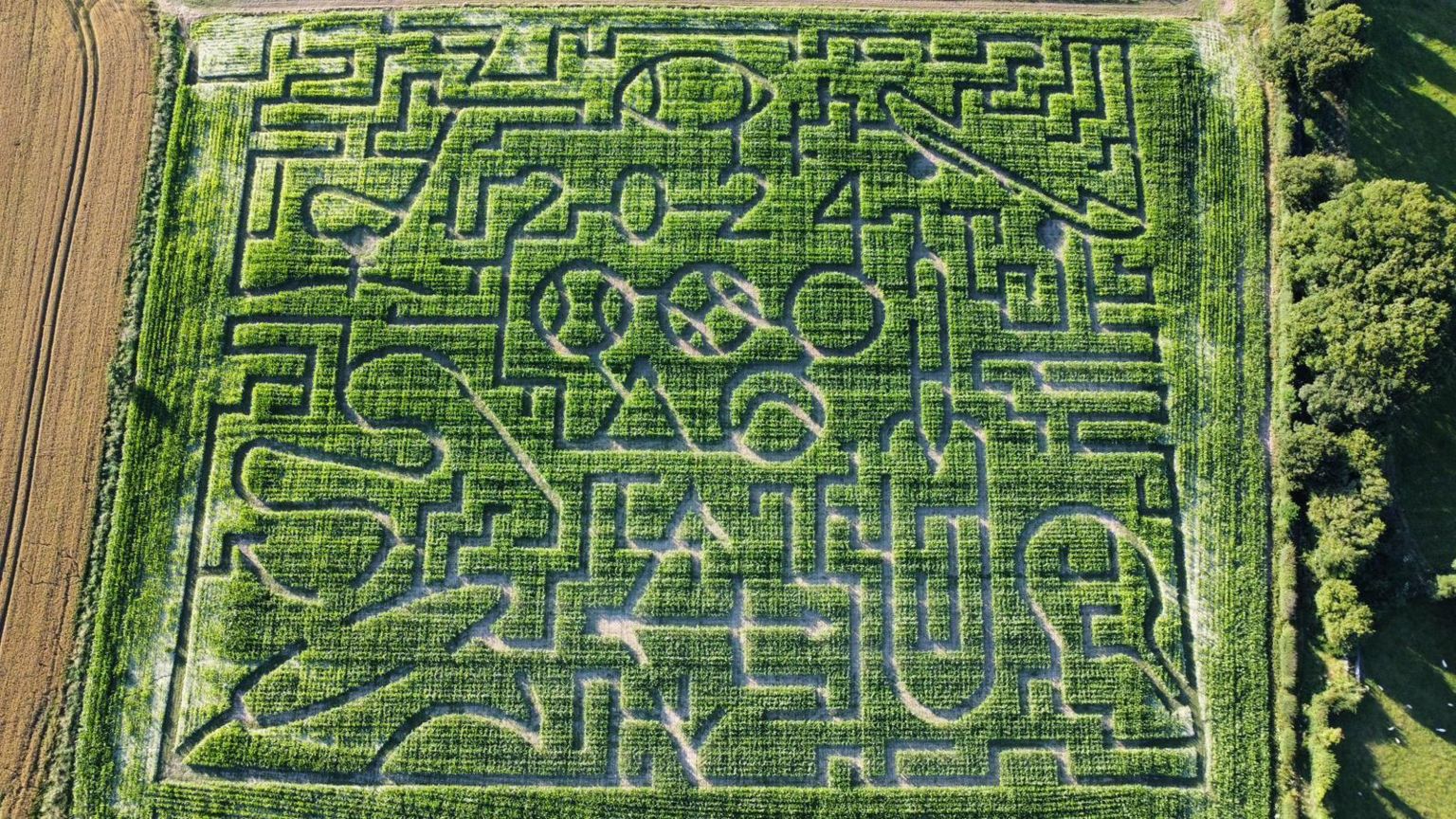 Aerial view of a maize maze in Salisbury