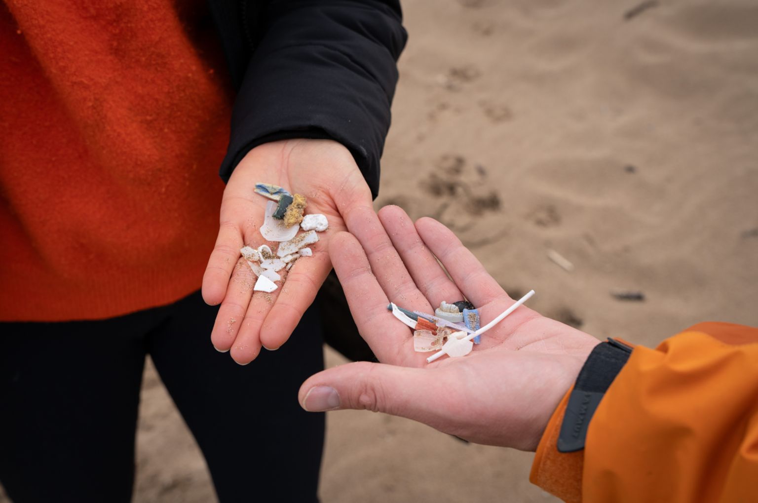 Plastic found on a beach litter-pick