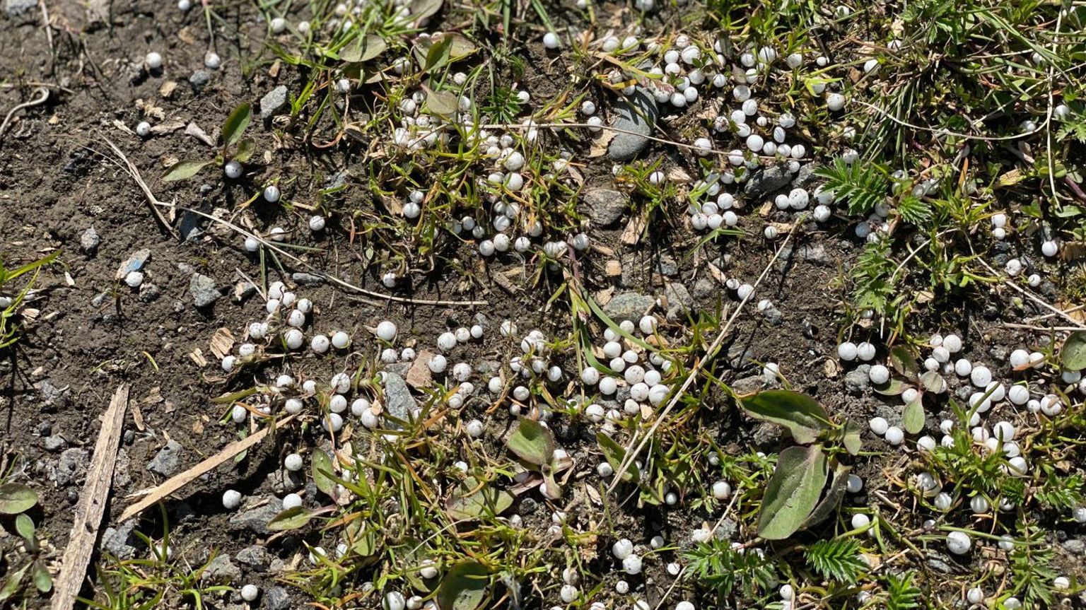 Polystyrene balls on the ground