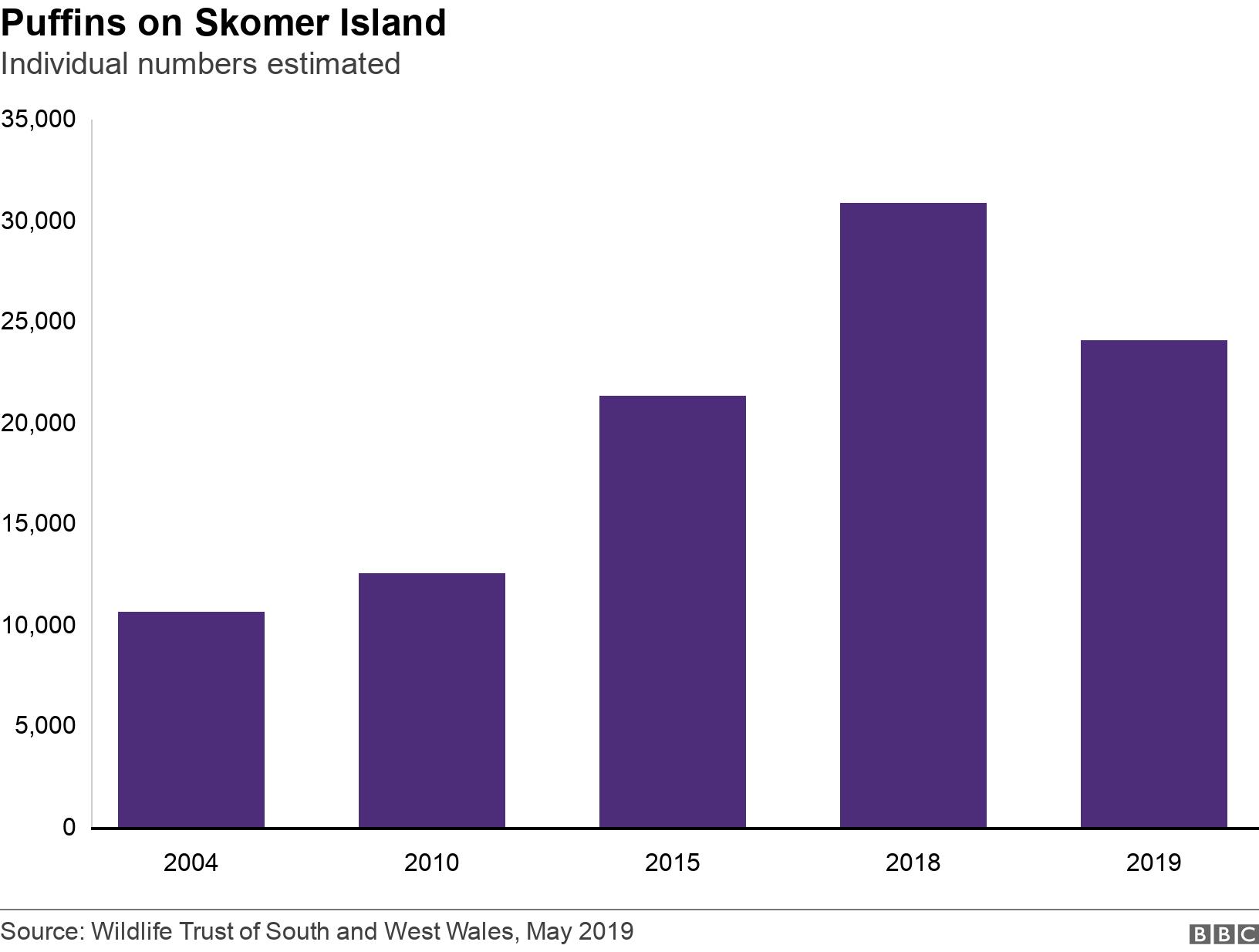 Puffins on Skomer Island. Individual numbers estimated.  .