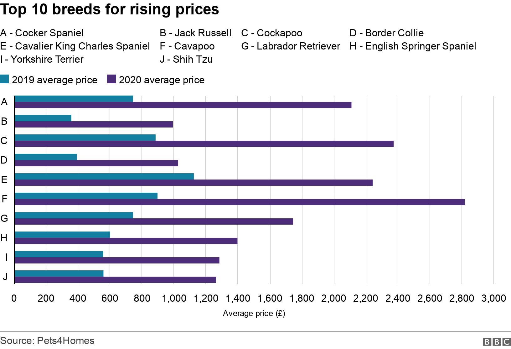 Top 10 breeds for rising prices. . Chart showing 2020 and 2019 average prices by breed .