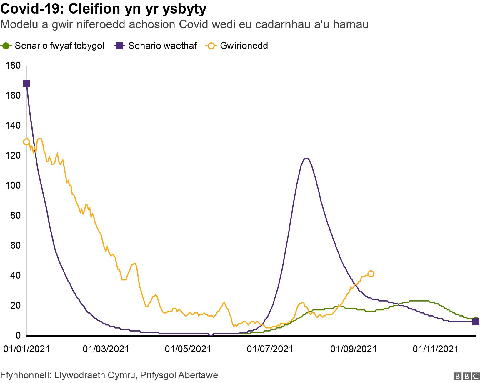 Covid-19: Cleifion yn yr ysbyty. Modelu a gwir niferoedd achosion Covid wedi eu cadarnhau a'u hamau.  .
