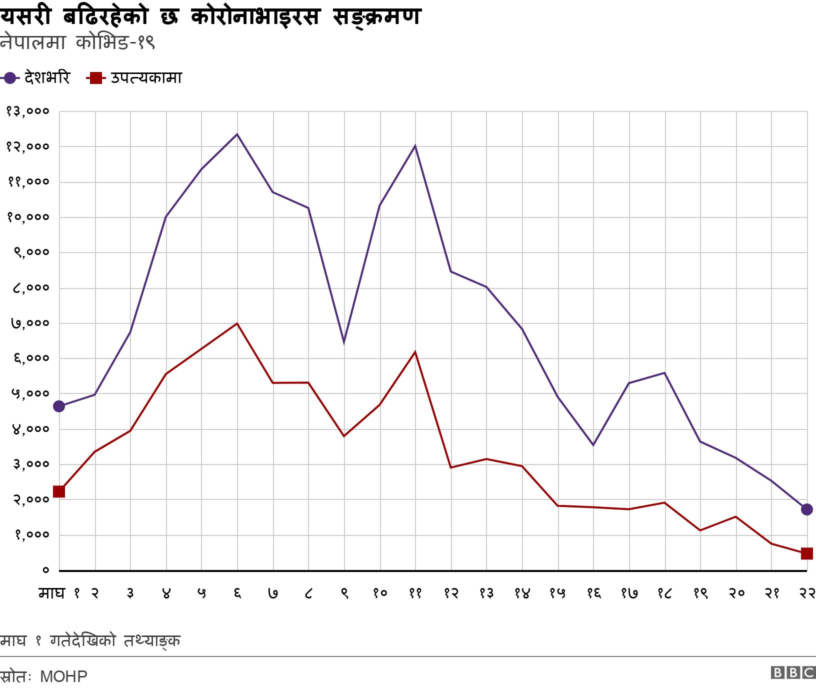 यसरी बढिरहेको छ कोरोनाभाइरस सङ्क्रमण. नेपालमा कोभिड-१९.  माघ १ गतेदेखिको तथ्याङ्क.