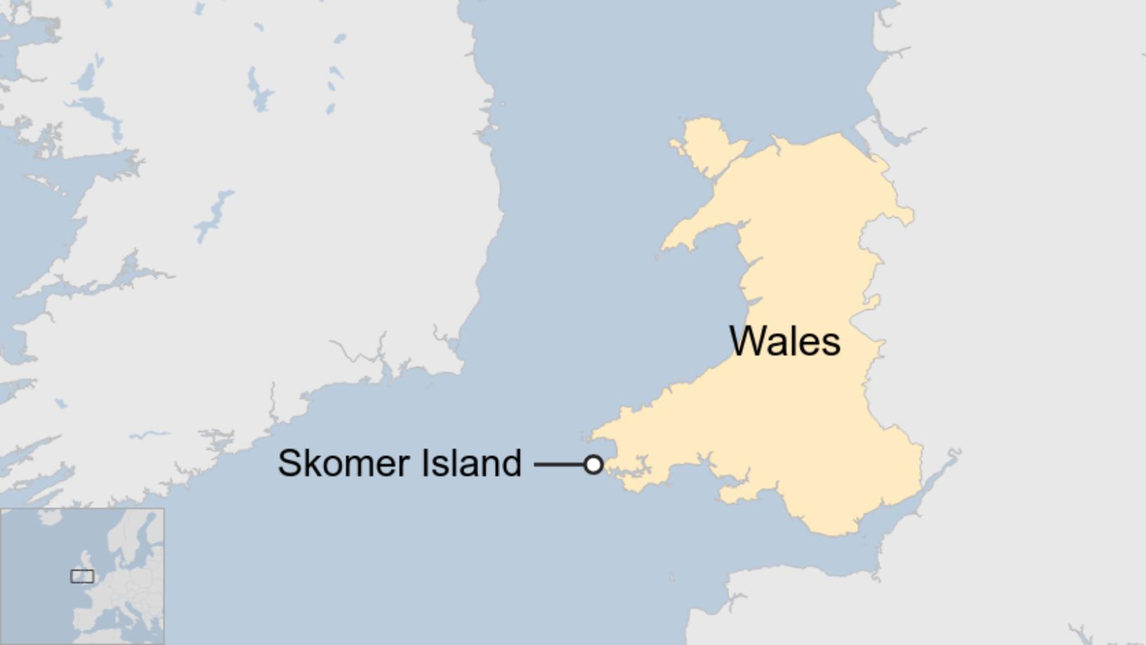 Map: The map shows the location of Skomer Island off the Pembrokeshire coast