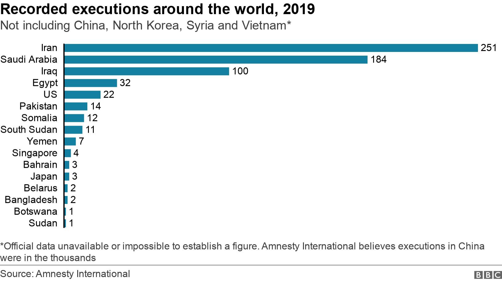Recorded executions around the world, 2019. Not including China, North Korea, Syria and Vietnam*.  *Official data unavailable or impossible to establish a figure. Amnesty International believes executions in China were in the thousands.