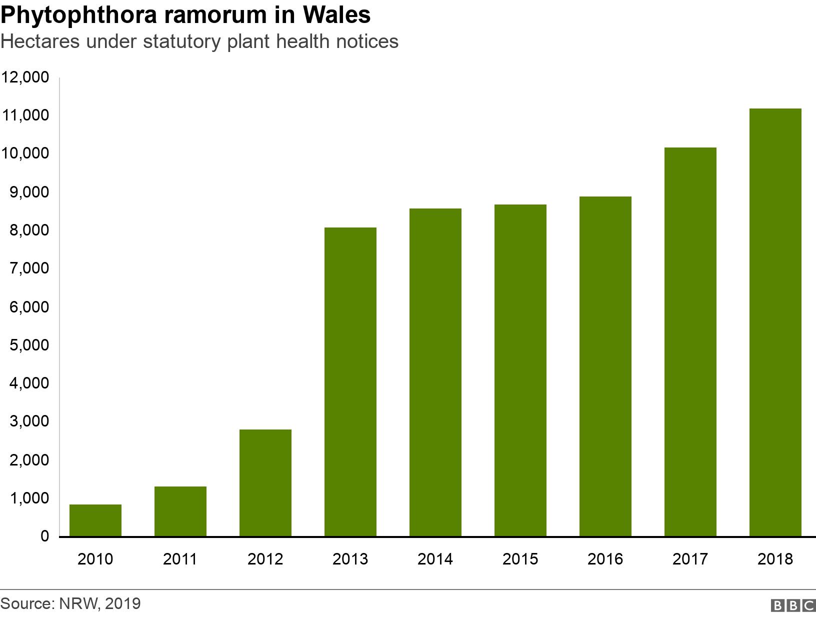 Phytophthora ramorum in Wales. Hectares  under statutory plant health notices.  .