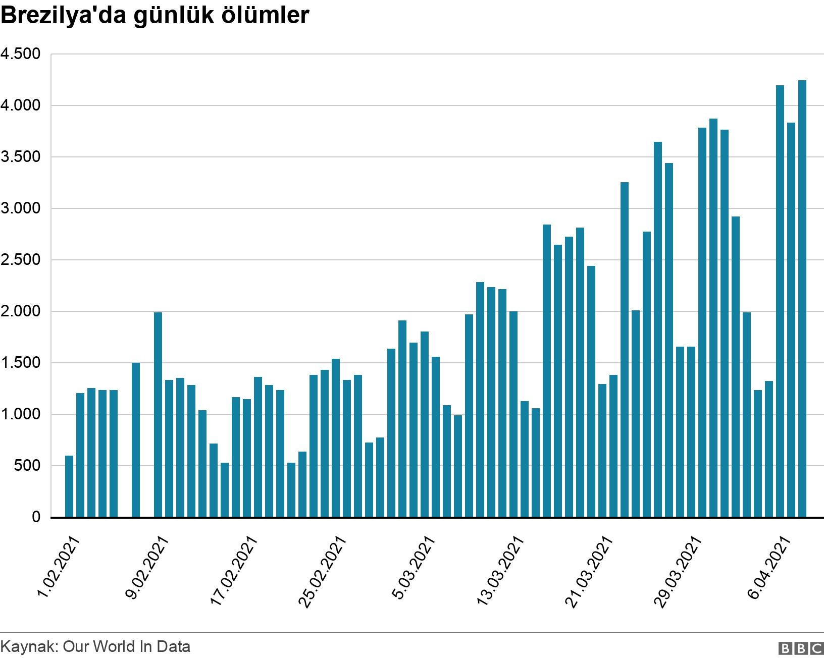 Brezilya'da günlük ölümler. . .