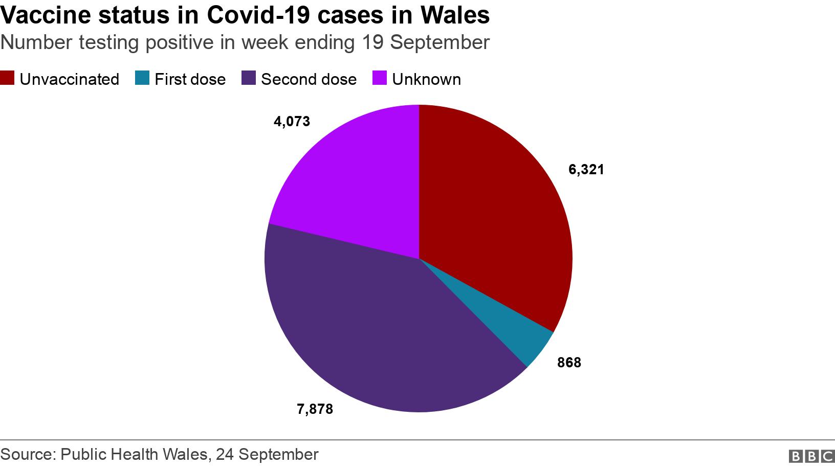 Vaccine status in Covid-19 cases in Wales. Number testing positive in week ending 19 September.  .