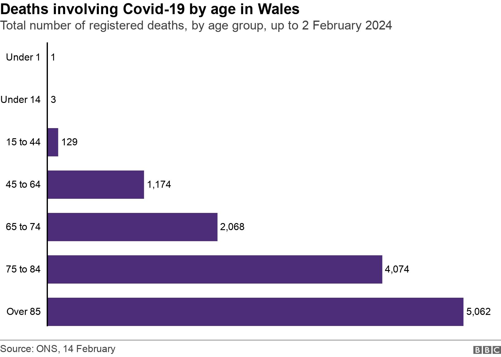 Deaths involving Covid-19 by age in Wales. Total number of registered deaths, by age group, up to 2 February 2024.  .