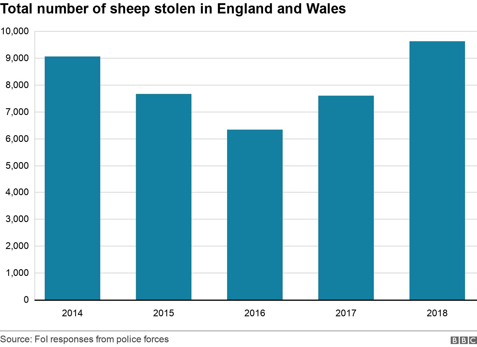 Total number of sheep stolen in England and Wales. . BBC FoI on sheep thefts .
