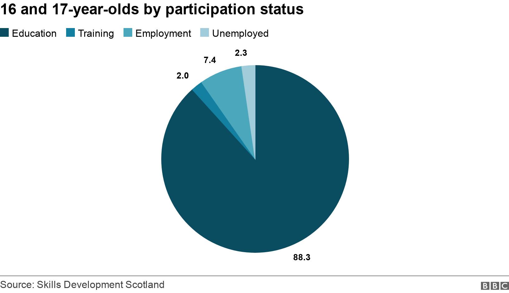 16 and 17-year-olds by participation status . .  .