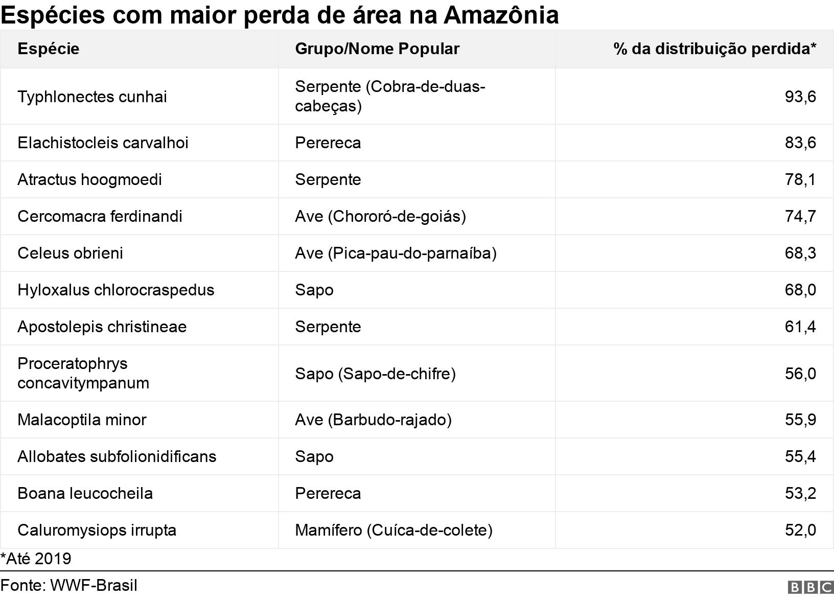 Espécies com maior perdaalgoritmo futebol virtual bet365 2024área na Amazônia. .  *Até 2019.
