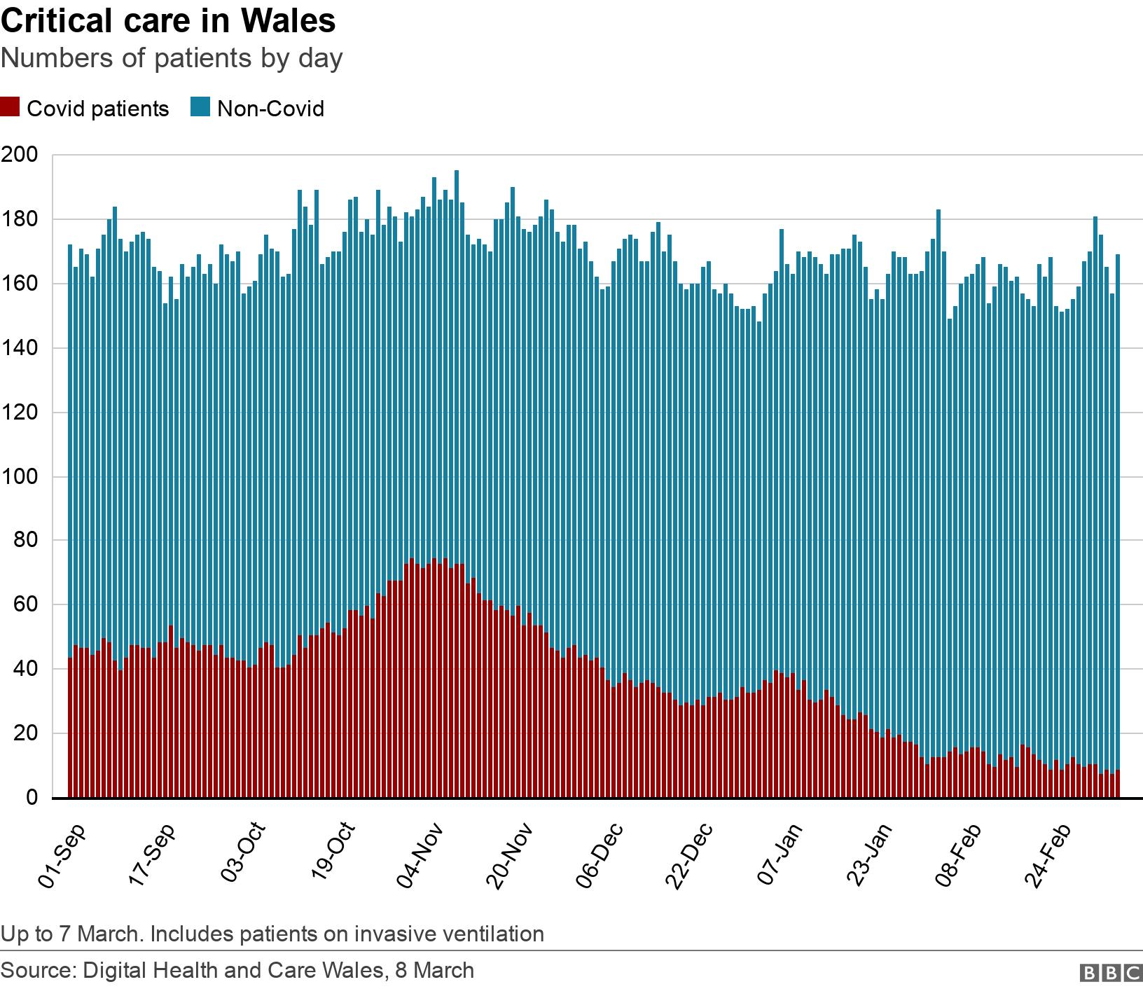 Critical care in Wales. Numbers of patients by day.  Up to 7 March. Includes patients on invasive ventilation.