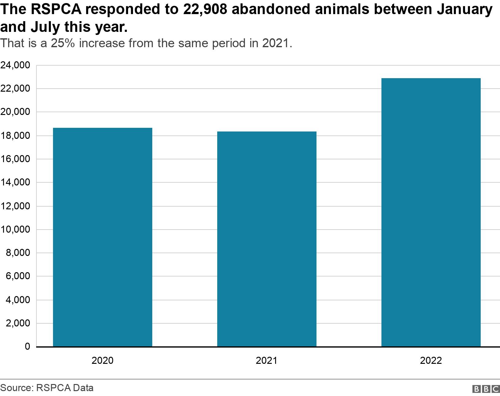 The RSPCA responded to 22,908 abandoned animals between January and July this year. . That is a 25% increase from the same period in 2021. . The number of animals abandoned between Jan-July in 2022 is 25% ahead of that period in 2021, which in turn was down 2% from 2020.  .