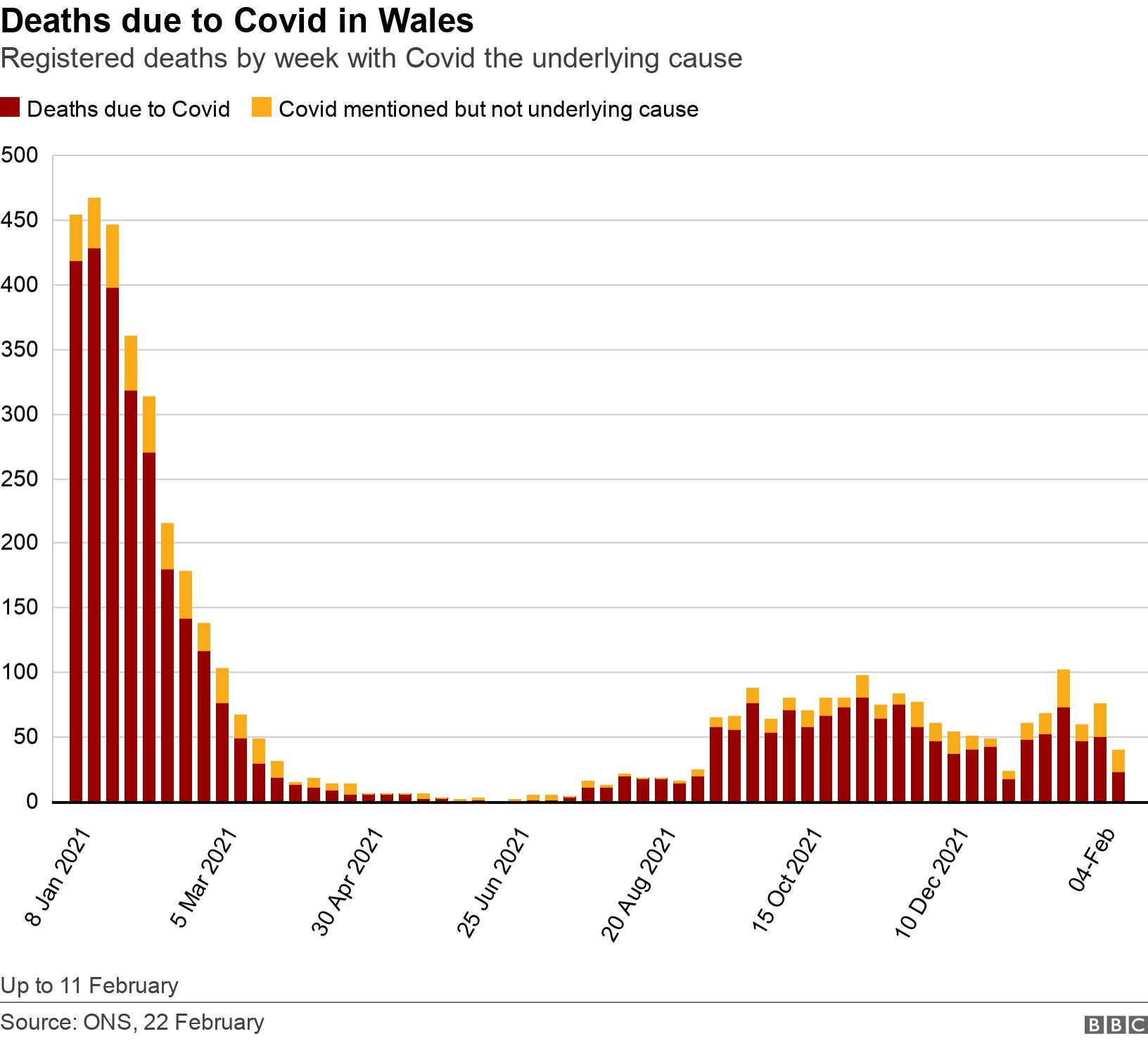 Deaths due to Covid in Wales. Registered deaths by week with Covid the underlying cause.  Up to 11 February.