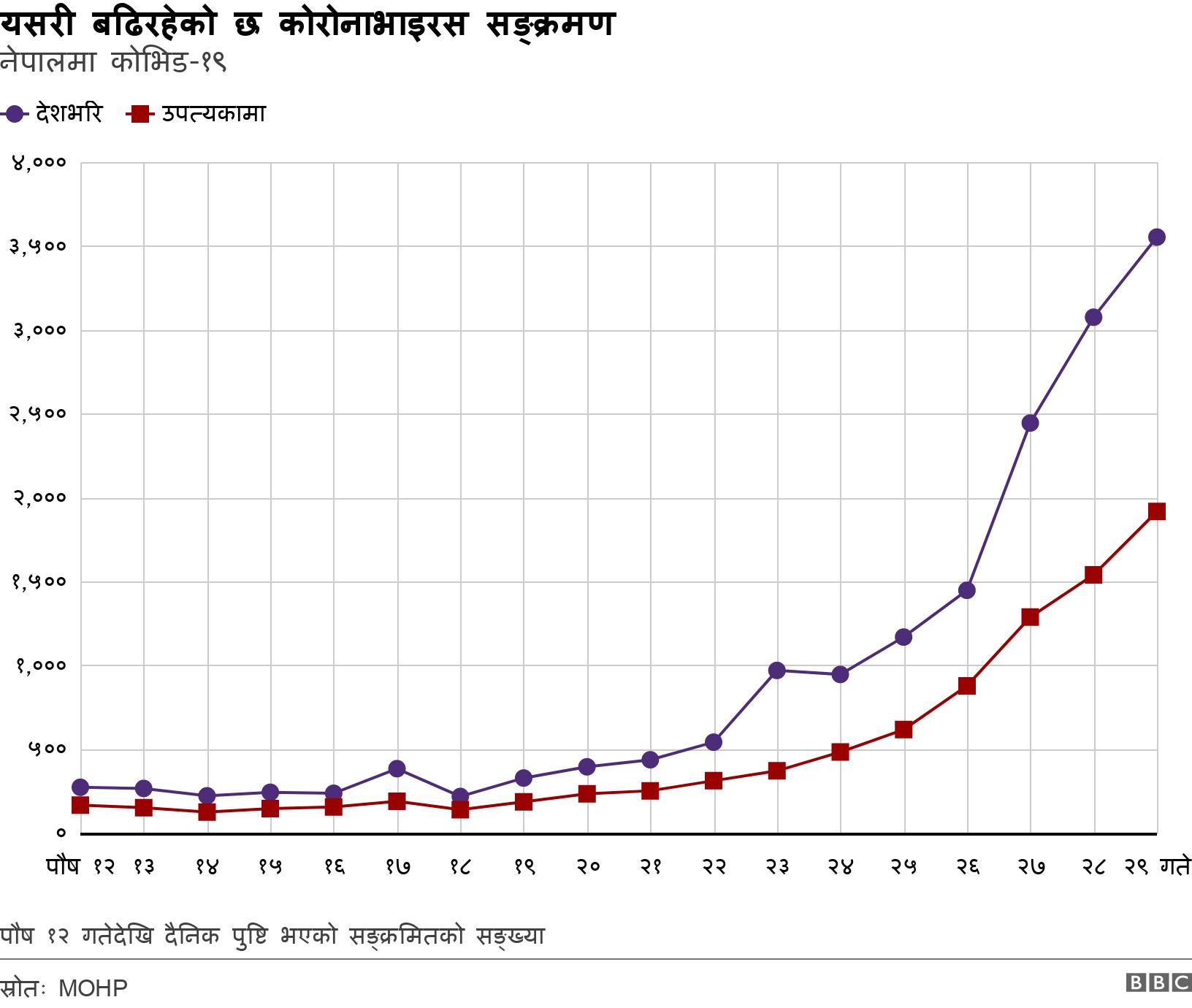 यसरी बढिरहेको छ कोरोनाभाइरस सङ्क्रमण. नेपालमा कोभिड-१९. पौष १२ गतेदेखि दैनिक पुष्टि भएको सङ्क्रमितको सङ्ख्या.