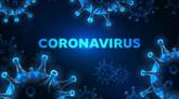 Ilustración del coronavirus.