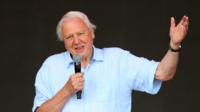 Sir David Attenborough at Glastonbury
